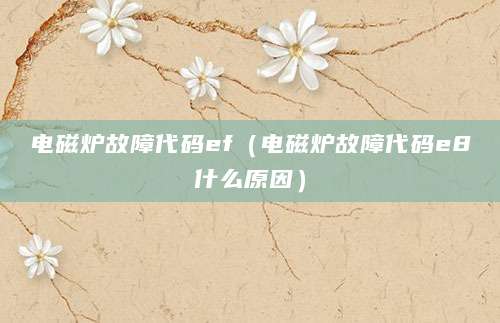 电磁炉故障代码ef(电磁炉故障代码e8什么原因)