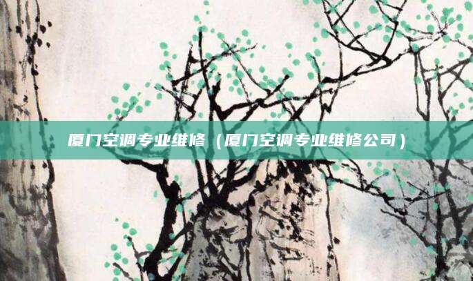 厦门空调专业维修（厦门空调专业维修公司）