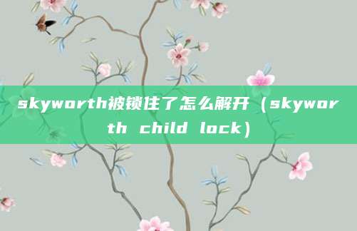 skyworth被锁住了怎么解开（skyworth child lock）