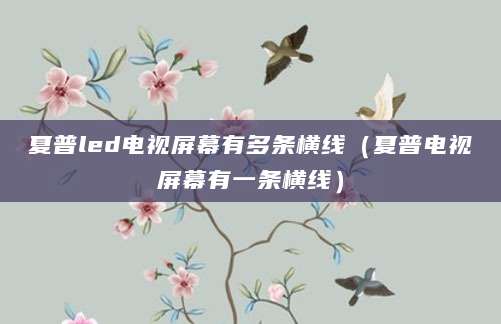 夏普led电视屏幕有多条横线（夏普电视屏幕有一条横线）