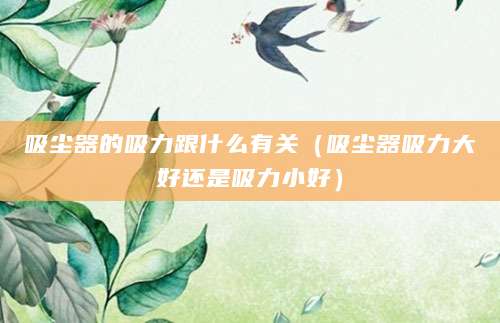 吸尘器的吸力跟什么有关（吸尘器吸力大好还是吸力小好）
