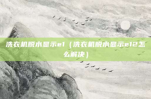 洗衣机脱水显示e1（洗衣机脱水显示e12怎么解决）