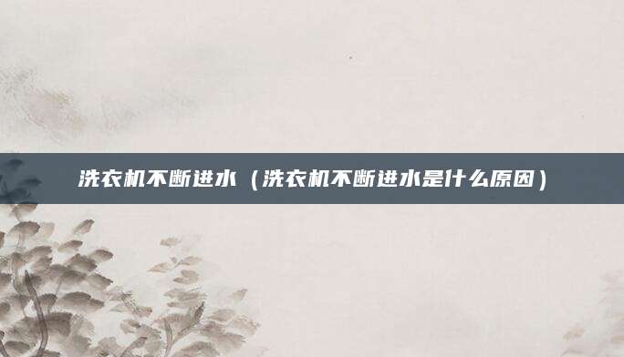 洗衣机不断进水（洗衣机不断进水是什么原因）