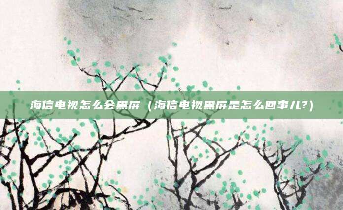 海信电视怎么会黑屏（海信电视黑屏是怎么回事儿?）