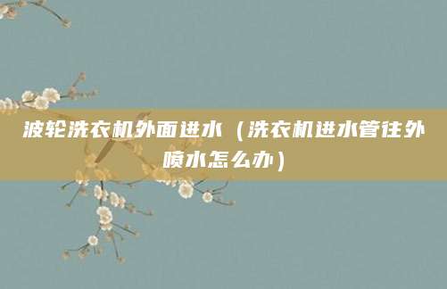 波轮洗衣机外面进水（洗衣机进水管往外喷水怎么办）
