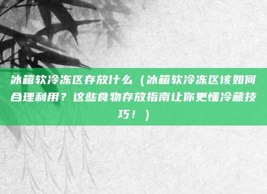 冰箱软冷冻区存放什么（冰箱软冷冻区该如何合理利用？这些食物存放指南让你更懂冷藏技巧！）