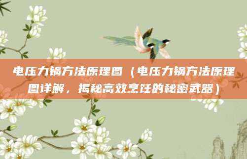 电压力锅方法原理图（电压力锅方法原理图详解，揭秘高效烹饪的秘密武器）