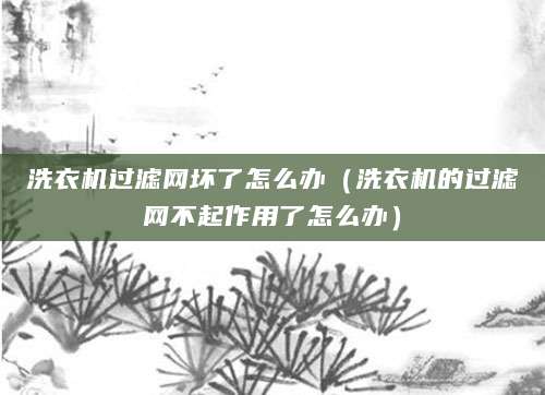 洗衣机过滤网坏了怎么办（洗衣机的过滤网不起作用了怎么办）