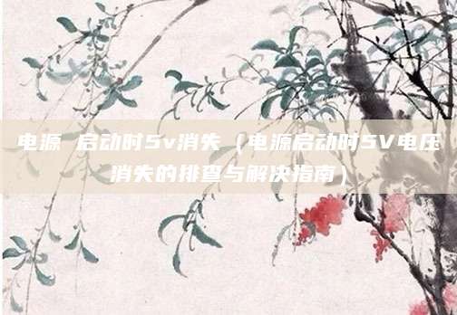 电源 启动时5v消失（电源启动时5V电压消失的排查与解决指南）