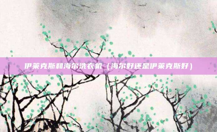 伊莱克斯和海尔洗衣机（海尔好还是伊莱克斯好）