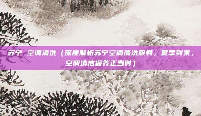 苏宁 空调清洗(深度解析苏宁空调清洗服务,夏季到来,空调清洁保养正当时)