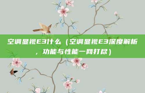 空调显视E3什么（空调显视E3深度解析，功能与性能一网打尽）
