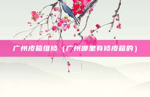 广州皮箱维修（广州哪里有修皮箱的）