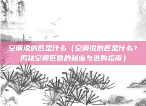空调说的匹是什么（空调说的匹是什么？揭秘空调匹数的秘密与选购指南）