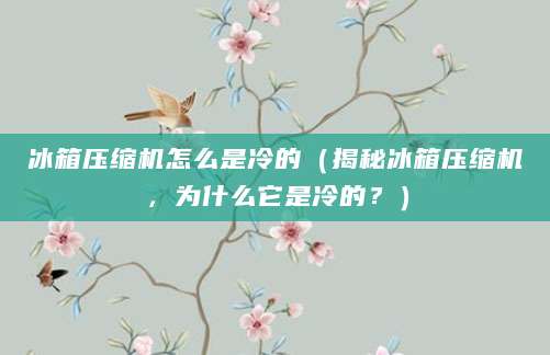 冰箱压缩机怎么是冷的（揭秘冰箱压缩机，为什么它是冷的？）