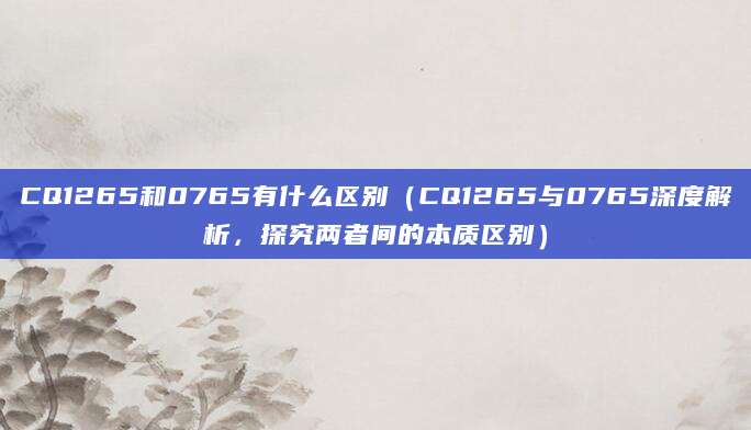 CQ1265和0765有什么区别（CQ1265与0765深度解析，探究两者间的本质区别）