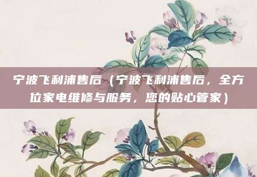 宁波飞利浦售后（宁波飞利浦售后，全方位家电维修与服务，您的贴心管家）
