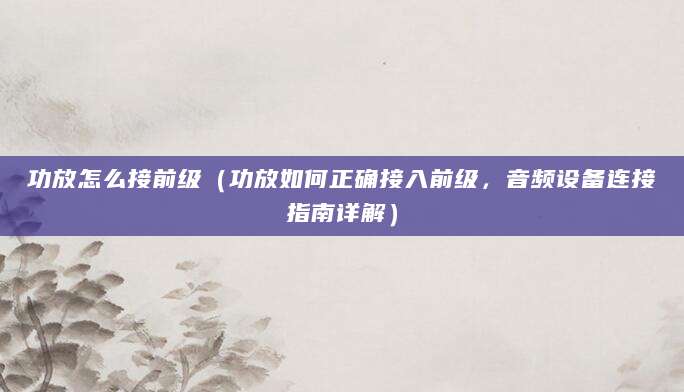 功放怎么接前级（功放如何正确接入前级，音频设备连接指南详解）