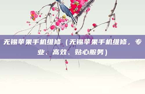 无锡苹果手机维修（无锡苹果手机维修，专业、高效、贴心服务）