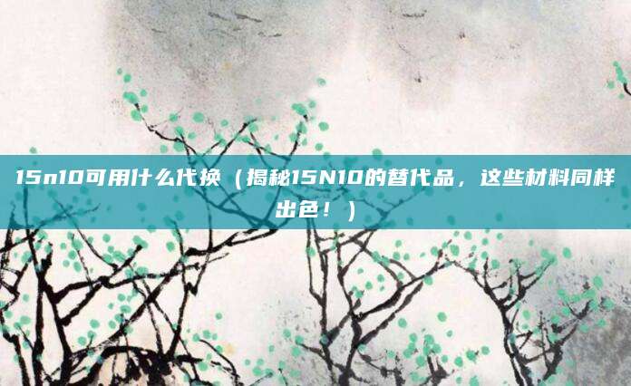 15n10可用什么代换（揭秘15N10的替代品，这些材料同样出色！）