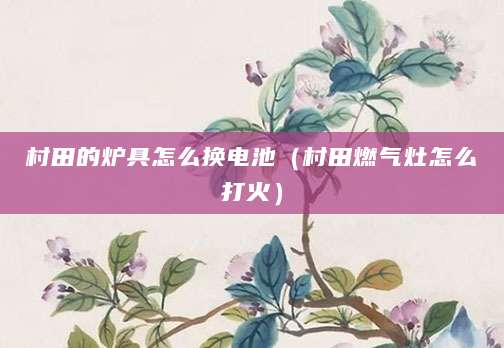 村田的炉具怎么换电池（村田燃气灶怎么打火）