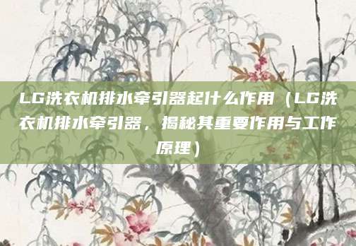 LG洗衣机排水牵引器起什么作用（LG洗衣机排水牵引器，揭秘其重要作用与工作原理）