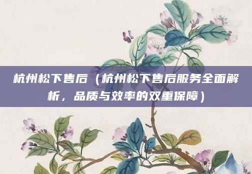 杭州松下售后（杭州松下售后服务全面解析，品质与效率的双重保障）