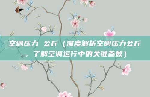 空调压力 公斤（深度解析空调压力公斤，了解空调运行中的关键参数）