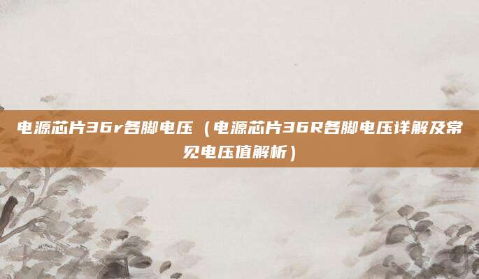 电源芯片36r各脚电压（电源芯片36R各脚电压详解及常见电压值解析）