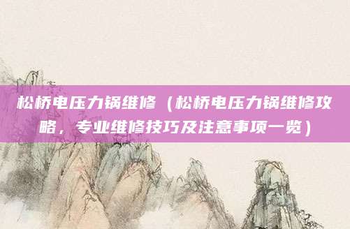 松桥电压力锅维修（松桥电压力锅维修攻略，专业维修技巧及注意事项一览）