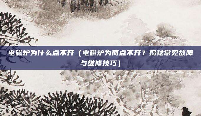 电磁炉为什么点不开（电磁炉为何点不开？揭秘常见故障与维修技巧）