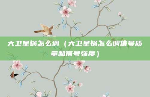 大卫星锅怎么调（大卫星锅怎么调信号质量和信号强度）