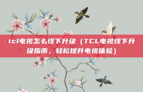 tcl电视怎么线下升级（TCL电视线下升级指南，轻松提升电视体验）