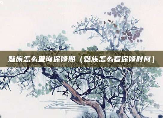魅族怎么查询保修期（魅族怎么看保修时间）
