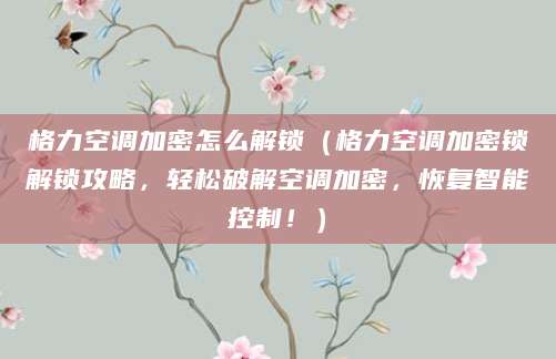 格力空调加密怎么解锁(格力空调加密锁解锁攻略,轻松破解空调加密,恢复智能控制!)