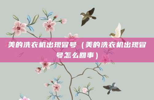 美的洗衣机出现冒号(美的洗衣机出现冒号怎么回事)