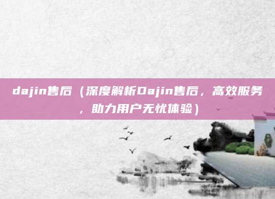 dajin售后（深度解析Dajin售后，高效服务，助力用户无忧体验）