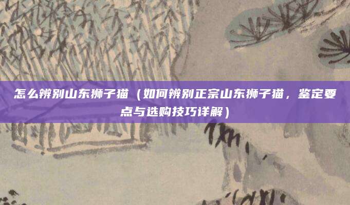 怎么辨别山东狮子猫（如何辨别正宗山东狮子猫，鉴定要点与选购技巧详解）