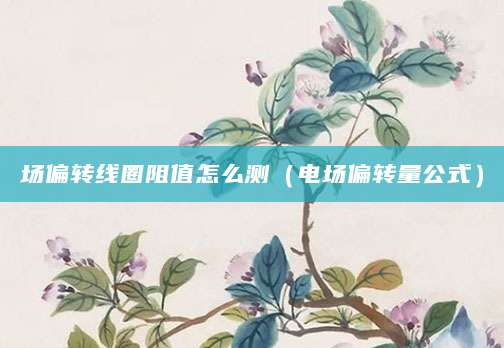 场偏转线圈阻值怎么测(电场偏转量公式)