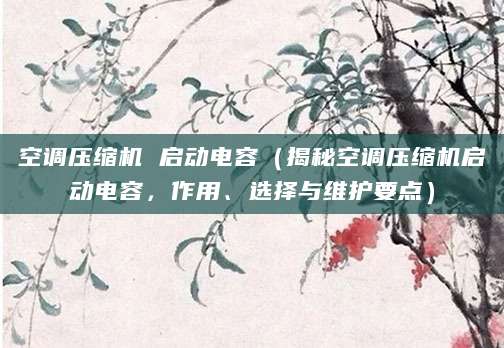 空调压缩机 启动电容（揭秘空调压缩机启动电容，作用、选择与维护要点）