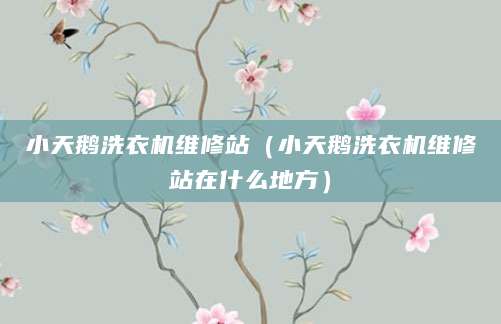 小天鹅洗衣机维修站(小天鹅洗衣机维修站在什么地方)
