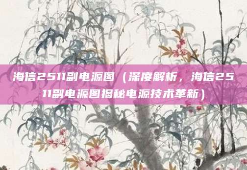 海信2511副电源图（深度解析，海信2511副电源图揭秘电源技术革新）