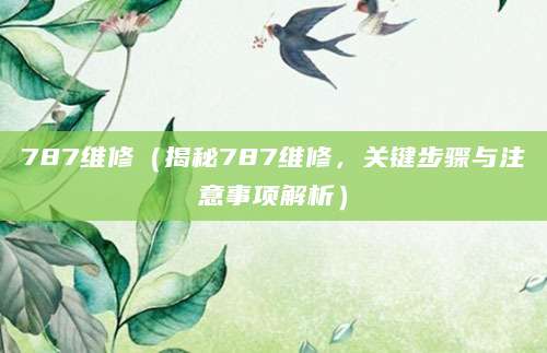 787维修（揭秘787维修，关键步骤与注意事项解析）
