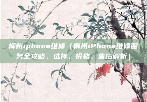 柳州iphone维修（柳州iPhone维修服务全攻略，选择、价格、售后解析）