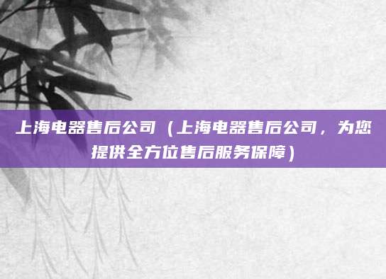 上海电器售后公司（上海电器售后公司，为您提供全方位售后服务保障）