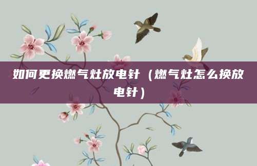 如何更换燃气灶放电针（燃气灶怎么换放电针）