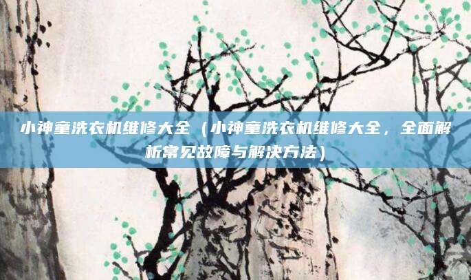 小神童洗衣机维修大全（小神童洗衣机维修大全，全面解析常见故障与解决方法）