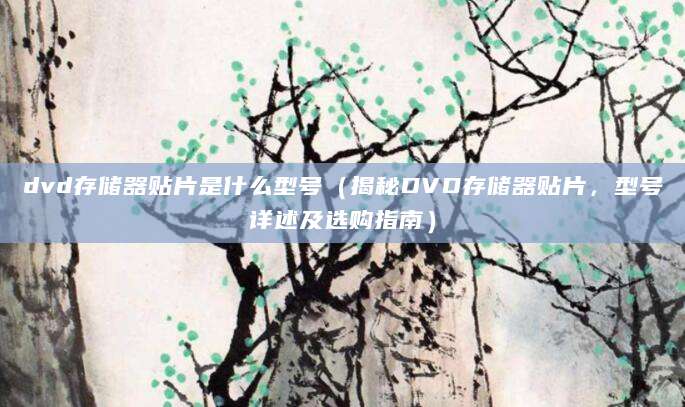 dvd存储器贴片是什么型号（揭秘DVD存储器贴片，型号详述及选购指南）