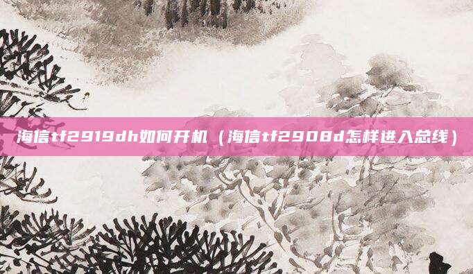 海信tf2919dh如何开机（海信tf2908d怎样进入总线）