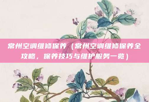 常州空调维修保养（常州空调维修保养全攻略，保养技巧与维护服务一览）